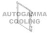 MERCE 0995001303 Radiator, engine cooling